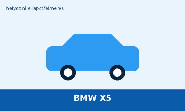 BMW X5 helyszíni autó átvizsgálás és állapotfelmérés vásárlás előtt